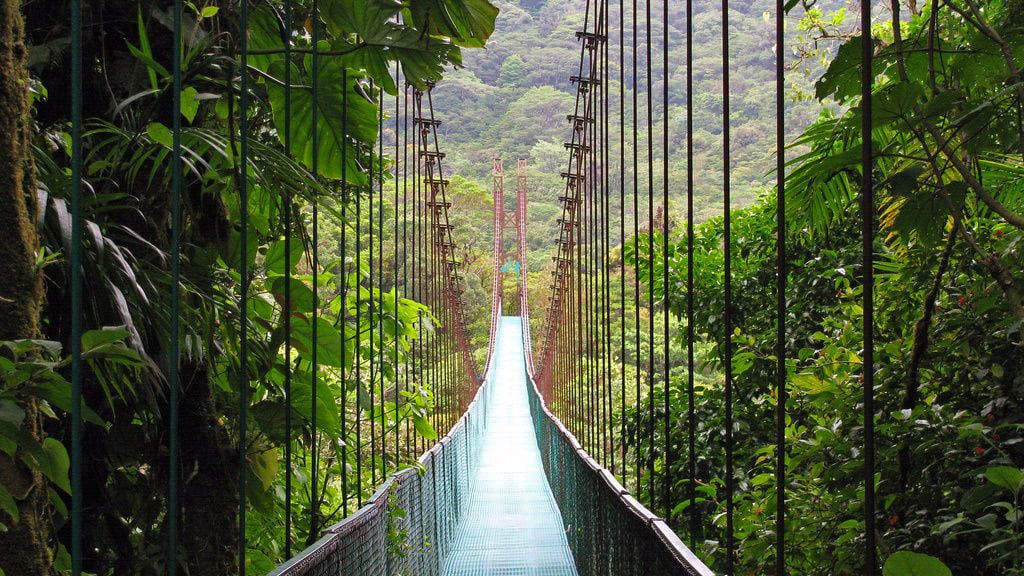 Monteverde Cloud Forest Reserve Costa Rica