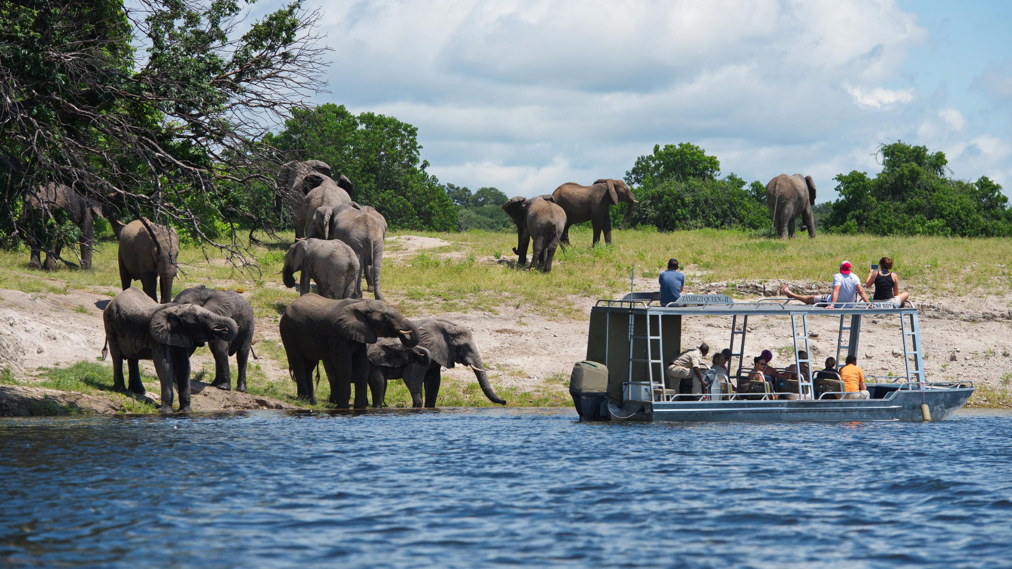 Game Viewing 