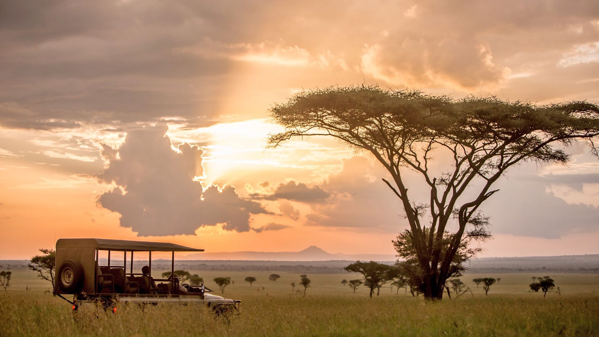Om Thabela Travel safari