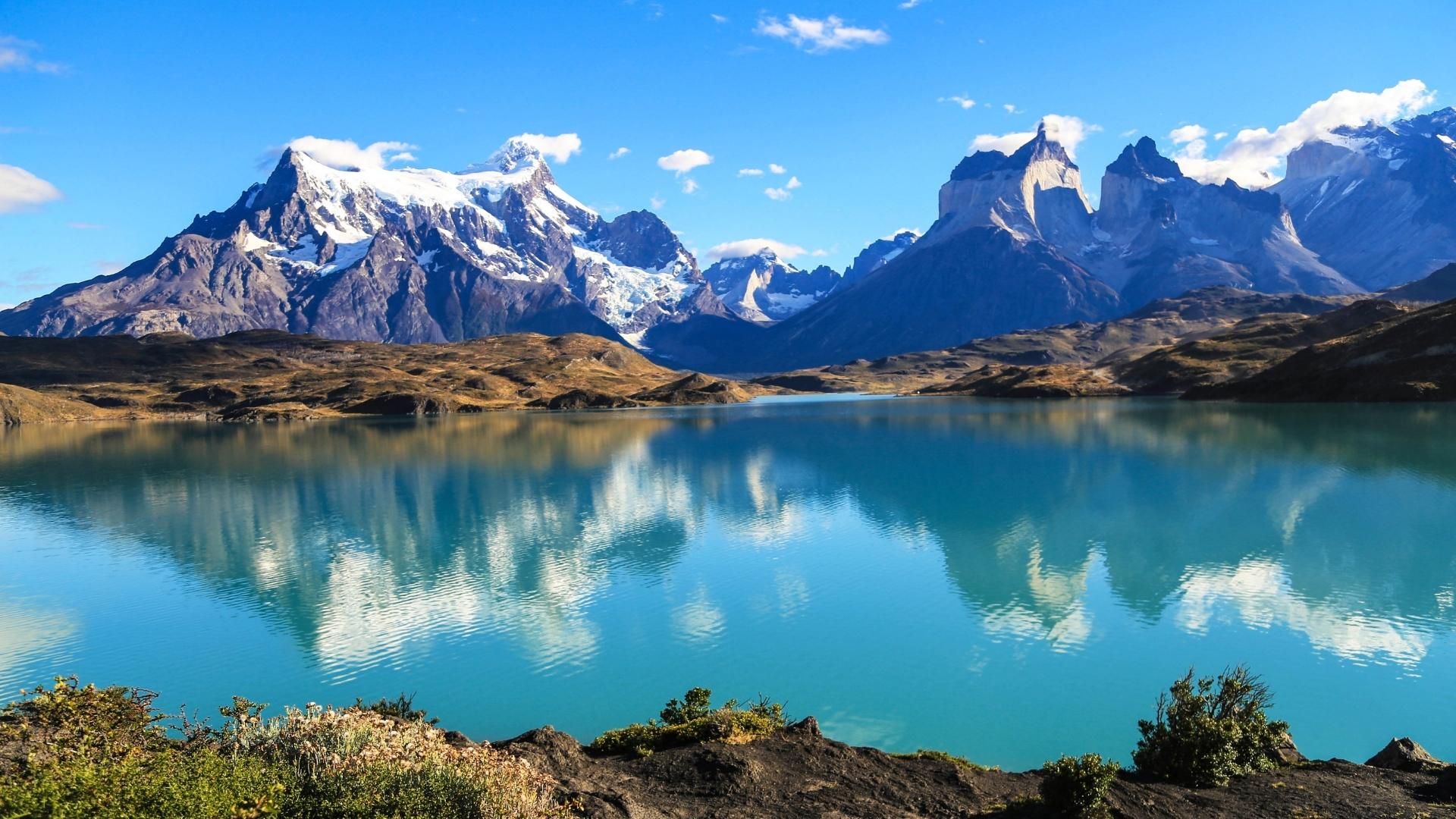 Patagoniens vilda natur
