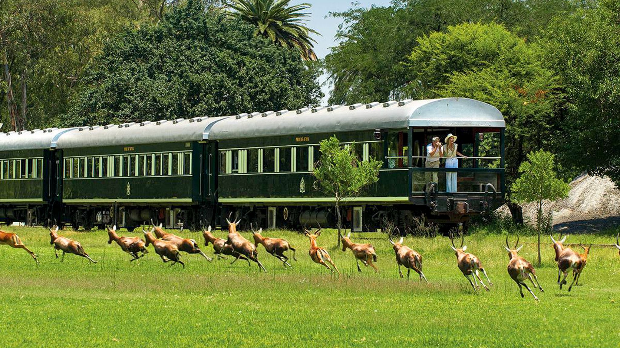 Rovos Rail Sydafrika Thabela Travel 2