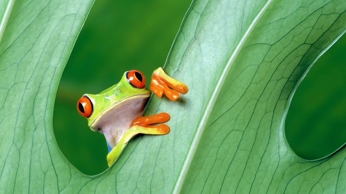 Costa Rica resa