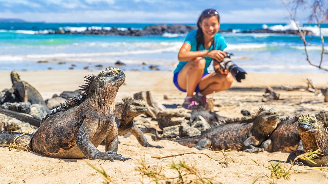 Ecuador Galapagos kryssning resa