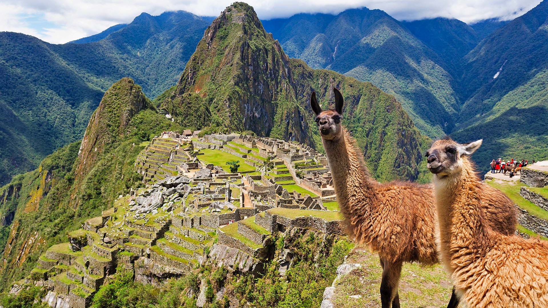 Guider Peru