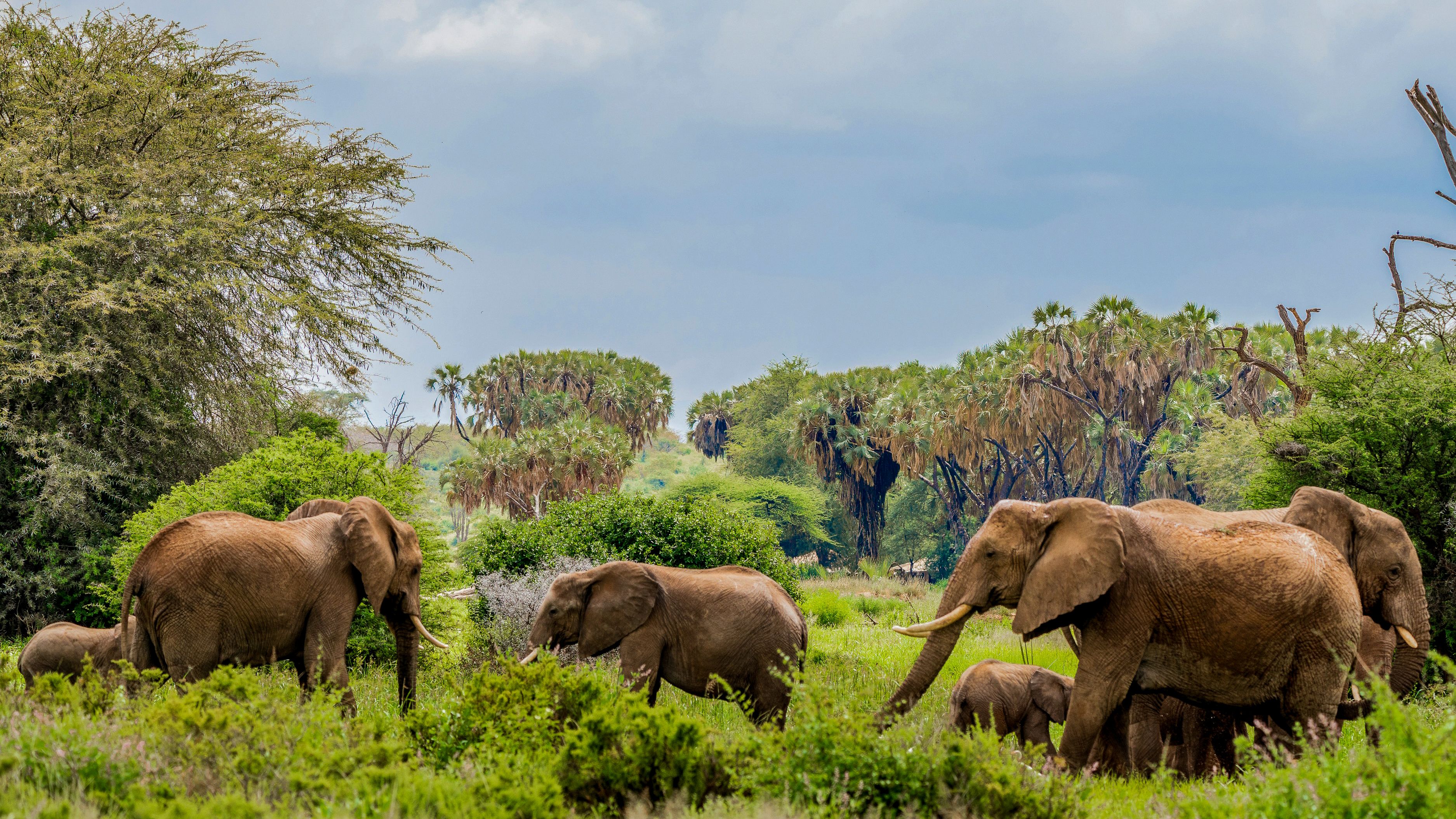 Samburu NP Kenya Thabela Travel