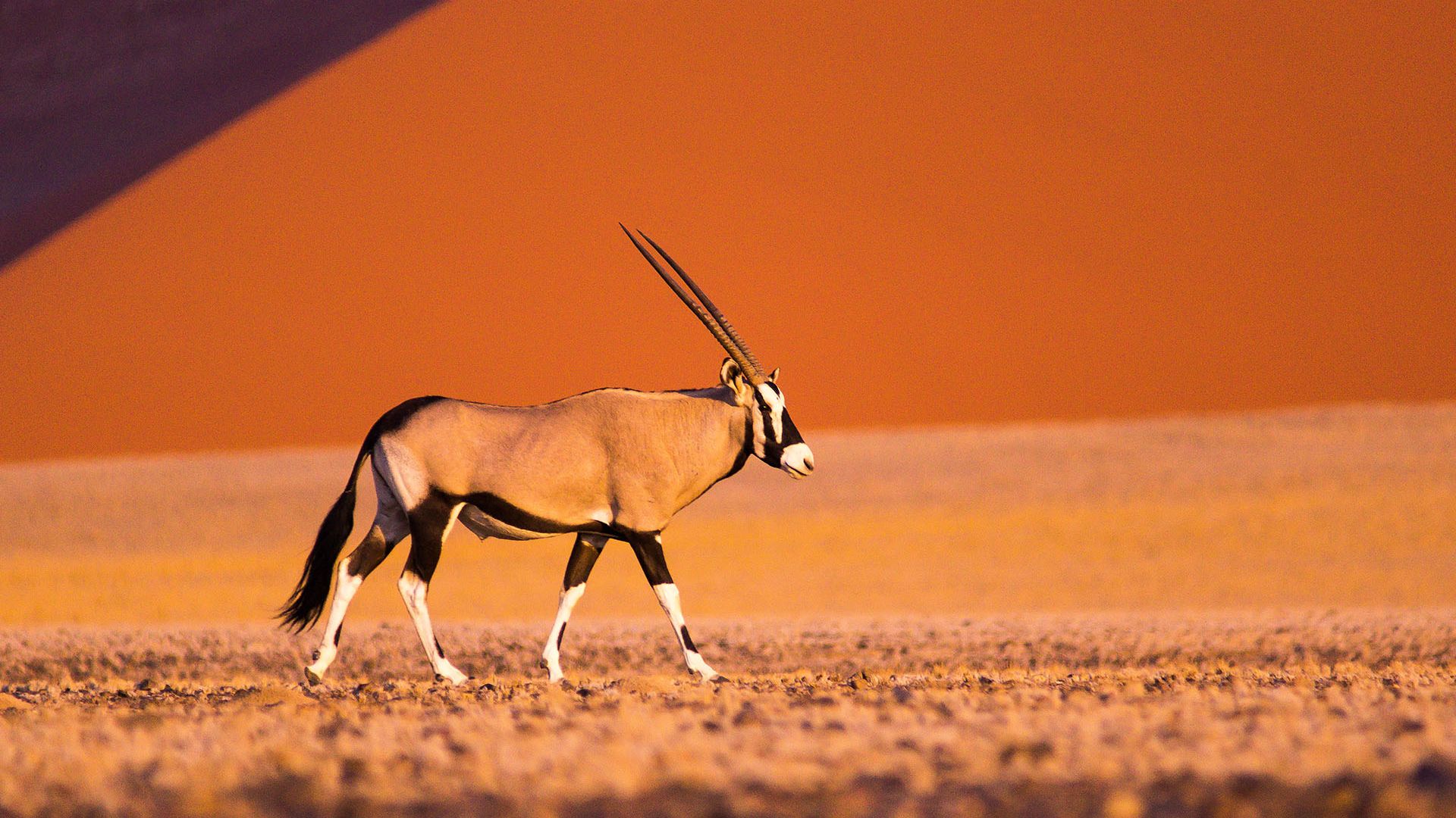 Namibia